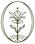 PiedraViva Tepoztlán